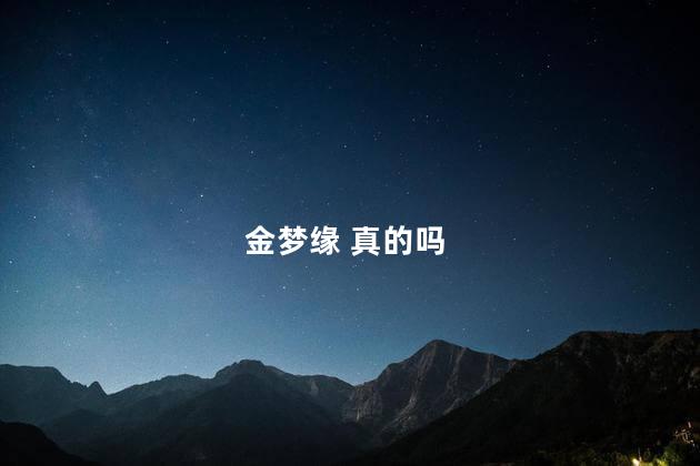 金梦缘 真的吗